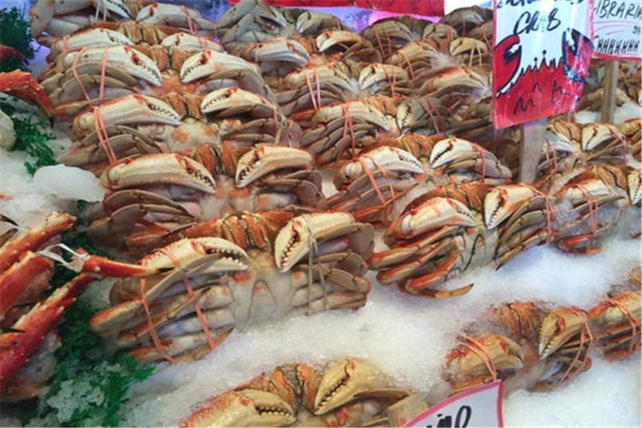 frozen seafood import