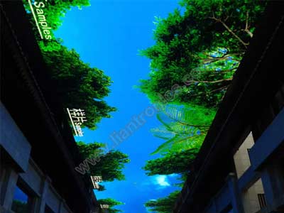 Liantronics New Heights: construya la pantalla LED para interiores más grande de Asia (3000 metros cuadrados)